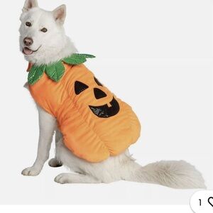 Pumpkin costume for large dog